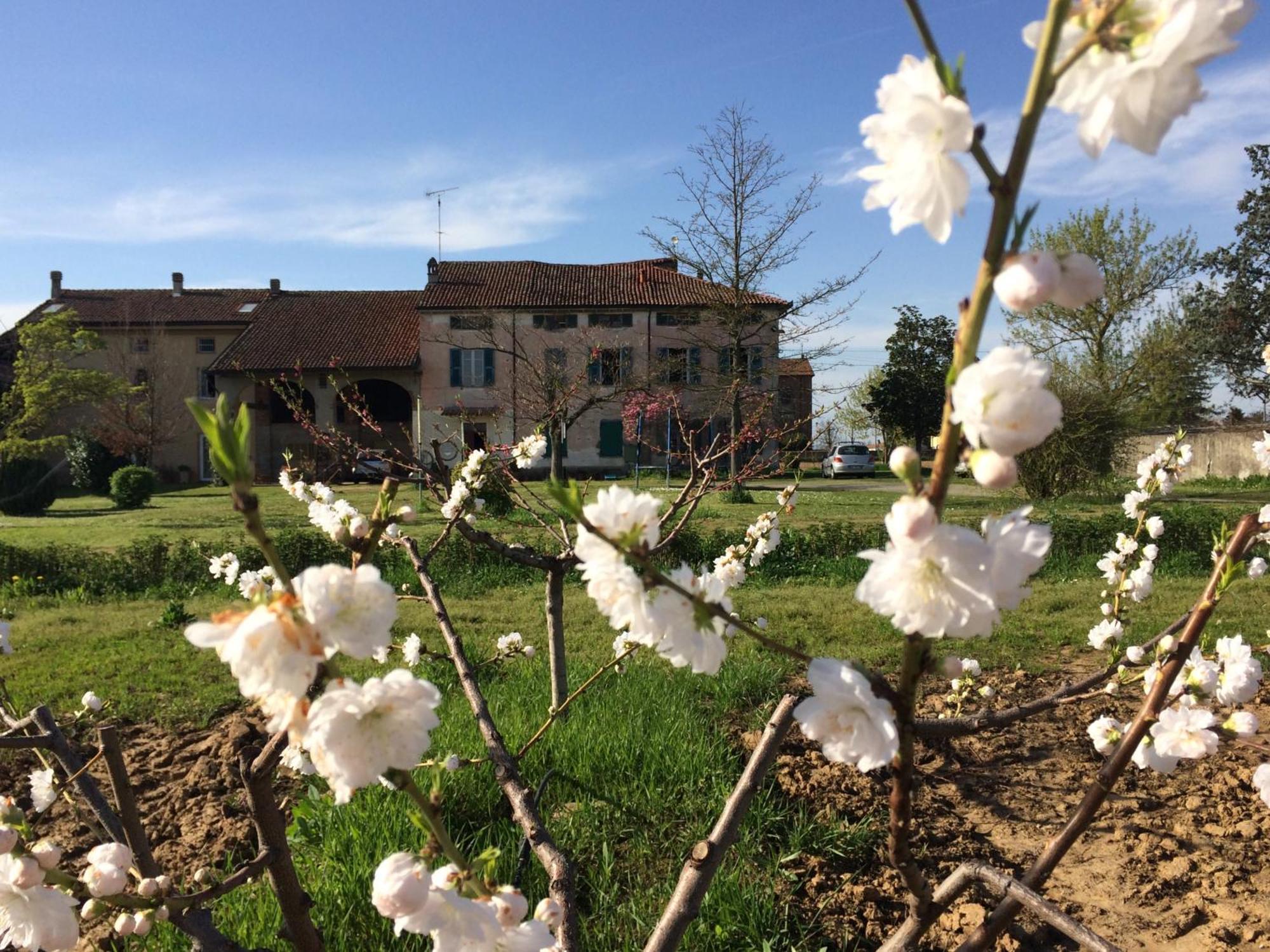 Fattoria Del Soul Otel Bosco Marengo Dış mekan fotoğraf